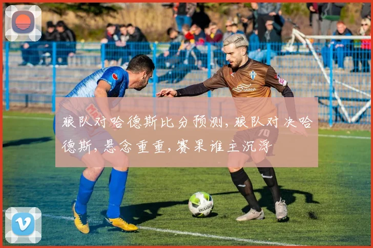 狼队对哈德斯比分预测,狼队对决哈德斯,悬念重重,赛果谁主沉浮