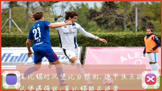 莱比锡对汉堡比分预测,德甲焦点战汉堡遇强敌,莱比锡能否逆袭